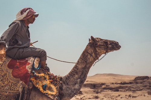 Man riding a camel
